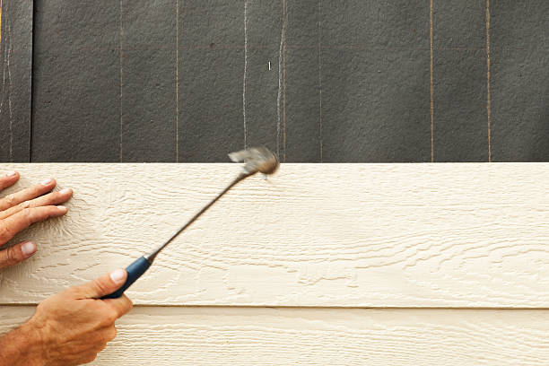 Professional Siding in Reinbeck, IA