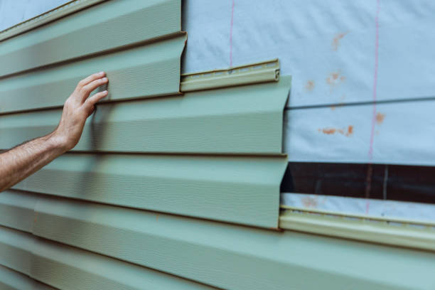 Best Vinyl Siding Installation  in Reinbeck, IA